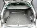 Skoda Octavia Selection TDI DSG Grau - thumbnail 12