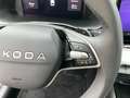 Skoda Octavia Selection TDI DSG Grau - thumbnail 21