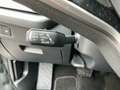 Skoda Octavia Selection TDI DSG Grau - thumbnail 19