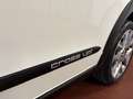 Volkswagen up! 5P. 1.0 BENZINA Cross 75cv Bianco - thumbnail 6