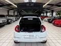 Renault Twingo Vibes Electric 1.Hand Scheckheft Apple CarPlay And Blanc - thumbnail 16