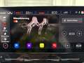 CUPRA Leon SP 1.4 TSI eHybrid Mem Matrix Rcam Beats 2xSpur Schwarz - thumbnail 33