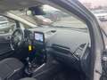 Ford EcoSport 1.0 EcoBoost 125 CV Start&Stop Business Grigio - thumbnail 6