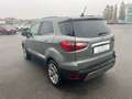 Ford EcoSport 1.0 EcoBoost 125 CV Start&Stop Business Grigio - thumbnail 12
