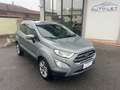 Ford EcoSport 1.0 EcoBoost 125 CV Start&Stop Business Grigio - thumbnail 1