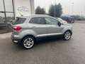 Ford EcoSport 1.0 EcoBoost 125 CV Start&Stop Business Grigio - thumbnail 13