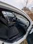 Suzuki Celerio Celerio 1.0 Club Weiß - thumbnail 11