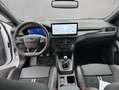 Ford Focus 2.3 EcoBoost S&S ST X Weiß - thumbnail 12
