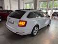 Skoda Octavia Combi STYLE 4X4 PANO DCC ACC LED KAMERA Blanc - thumbnail 4