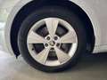 Skoda Octavia Combi STYLE 4X4 PANO DCC ACC LED KAMERA Blanc - thumbnail 19