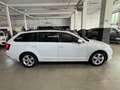 Skoda Octavia Combi STYLE 4X4 PANO DCC ACC LED KAMERA Blanc - thumbnail 5