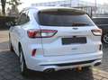 Ford Kuga Plug-in Hybrid 2.5 Duratec PHEV VIGNALE AHK*Headup Weiß - thumbnail 5