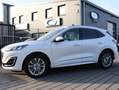 Ford Kuga Plug-in Hybrid 2.5 Duratec PHEV VIGNALE AHK*Headup Weiß - thumbnail 3