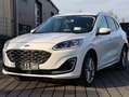 Ford Kuga Plug-in Hybrid 2.5 Duratec PHEV VIGNALE AHK*Headup Weiß - thumbnail 1