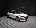 Ford Focus 1.5 Ecoblue Active 120 Aut. Blanco - thumbnail 1