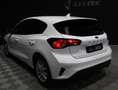 Ford Focus 1.5 Ecoblue Active 120 Aut. Blanco - thumbnail 6