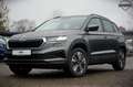 Skoda Karoq 2.0 TDi DSG 4x4 Selection AHK|ACC|CAM|LED Grijs - thumbnail 1