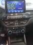 Ford Kuga 2.0 EcoBlue ST-Line X FWD 120 Aut. Rojo - thumbnail 7