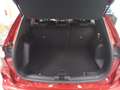 Ford Kuga 2.0 EcoBlue ST-Line X FWD 120 Aut. Rojo - thumbnail 11
