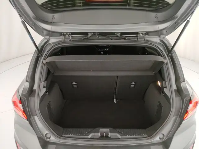 Ford Fiesta view 10