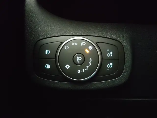 Ford Fiesta view 25