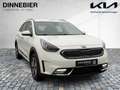 Kia Niro Spirit 1.6 PlugHybrid ACC+CAM+LED+NAVI+TWA Weiß - thumbnail 7