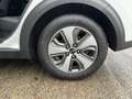 Kia Niro Spirit 1.6 PlugHybrid ACC+CAM+LED+NAVI+TWA Weiß - thumbnail 14