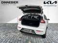 Kia Niro Spirit 1.6 PlugHybrid ACC+CAM+LED+NAVI+TWA Weiß - thumbnail 8