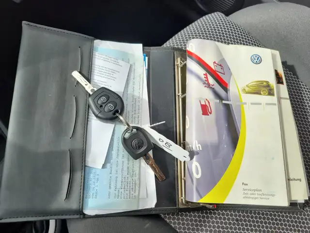Volkswagen Fox view 8