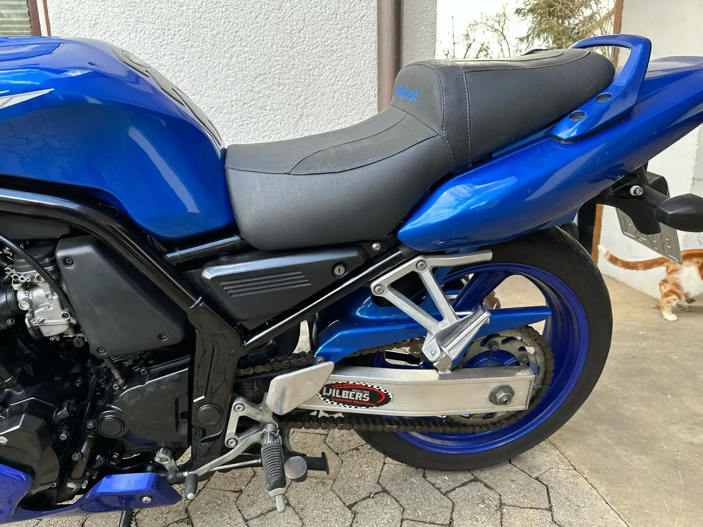 Yamaha FZS 600 Sportauspuff Blau - 2