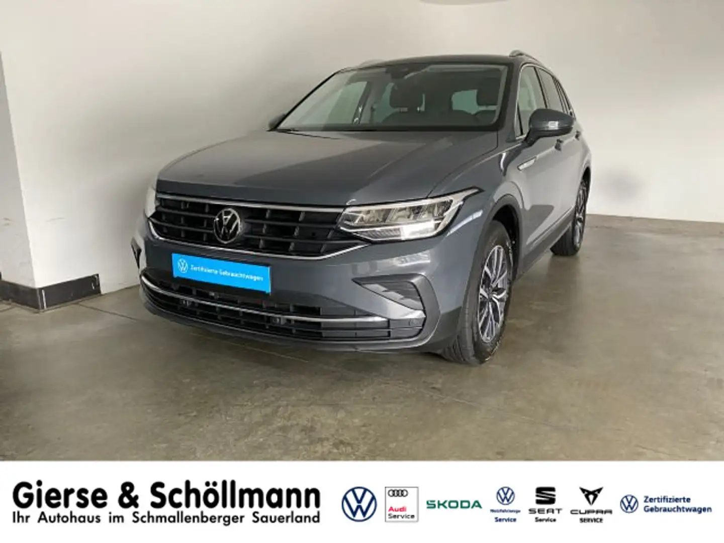 Volkswagen Tiguan Life 1.5 TSI PANO+LED+SHZ+KLIMAAUTO Gris - 1