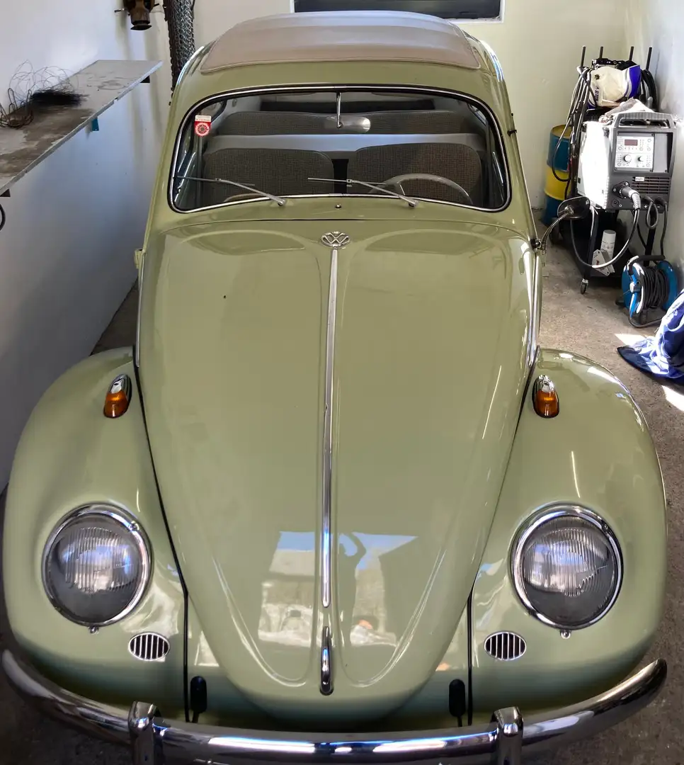 Volkswagen Käfer 11Luxus Grün - 1