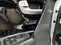 Kia Niro 1.6 GDi Hybrid ExecutiveLine | NAVIGATIE | CAMERA Grijs - thumbnail 17