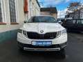 Skoda Octavia 2.0 TDI DPF Scout 4x4 - thumbnail 2