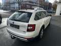 Skoda Octavia 2.0 TDI DPF Scout 4x4 - thumbnail 5
