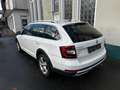 Skoda Octavia 2.0 TDI DPF Scout 4x4 - thumbnail 4