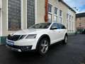 Skoda Octavia 2.0 TDI DPF Scout 4x4 - thumbnail 1