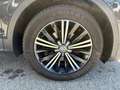 Volkswagen Tiguan Highline BMT TDI Grau - thumbnail 5