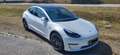 Tesla Model 3 Model 3 Long Range AWD 75kWh Weiß - thumbnail 3