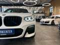 BMW X3 xDrive 30d M Sport *Klima*LED*Navi*Bluetooth* Biały - thumbnail 18