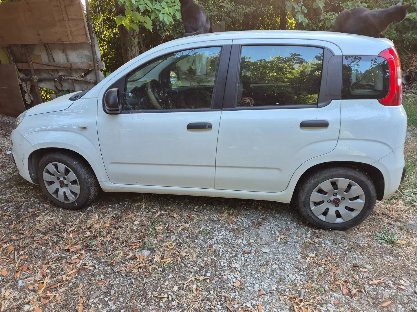 Fiat Panda Panda III 2012 1.2 easypower Pop Gpl 69cv Blanc - 1