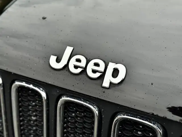 Jeep Renegade view 3