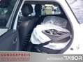 Renault Captur 1.2 TCe 120 Crossborder ENERGY Blanc - thumbnail 10