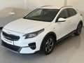 Kia XCeed Xceed 1,0 TGDI GPF Silber Weiß - thumbnail 3