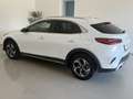 Kia XCeed Xceed 1,0 TGDI GPF Silber Weiß - thumbnail 9