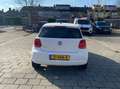 Volkswagen Polo Polo+1.2+Easyline Wit - thumbnail 3