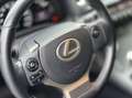 Lexus CT 200h Sport Edition Zeer mooi NLauto Dealer NAP Grau - thumbnail 36