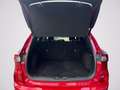 Ford Kuga 1.5 EcoBlue 120 CV aut. 2WD ST-Line X Rouge - thumbnail 7