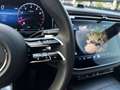Mercedes-Benz E 200 MHEV Aut. // AMG-Line Premium/Burmester/Ambiente- Grün - thumbnail 21