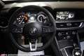 Alfa Romeo Stelvio 2.9 Bi-Turbo Q4 Quadrifoglio AT8 Blau - thumbnail 10